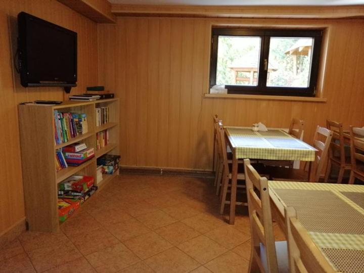 Arnika Krynica Zdroj