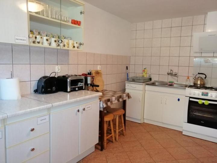 Arnika Krynica Zdroj